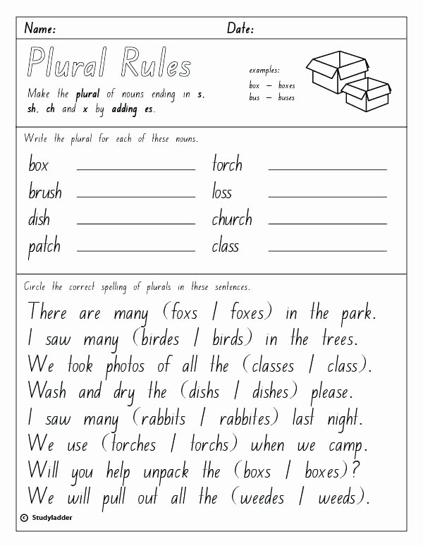 Adding S and Es Worksheets Suffix S Worksheets