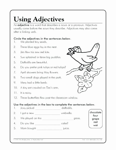 Adjective Worksheets 2nd Grade Adjective Worksheets 5th Grade Math Adjectives Worksheet 1