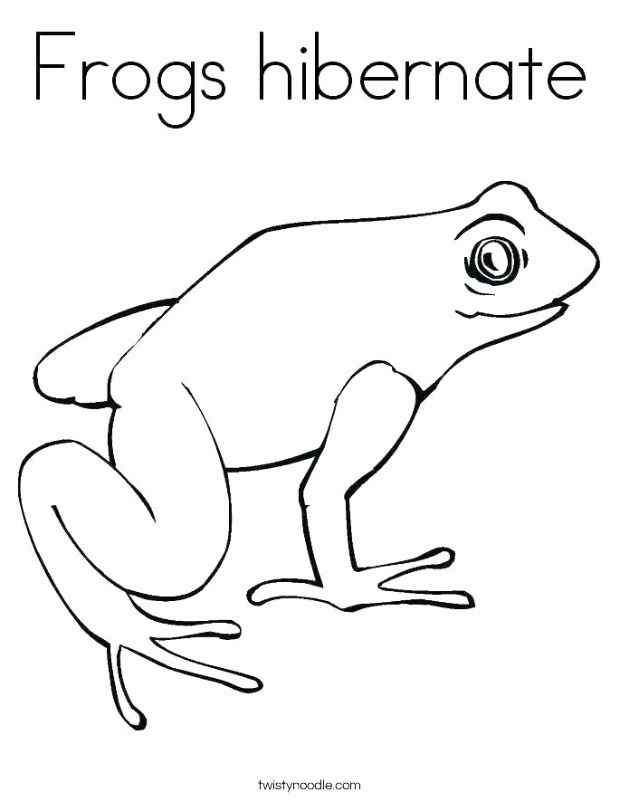 Amphibian Worksheets for Second Grade Amphibian Worksheets for Second Grade