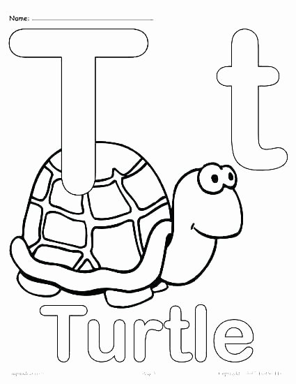 Amphibian Worksheets for Second Grade Letter T Cut and Paste Worksheets Free Reptiles Pack