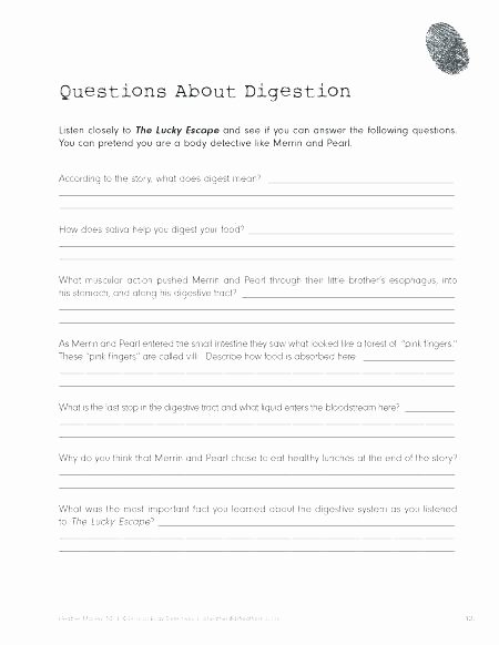 body systems worksheets high school lesson plan digestive system free for grade 4 activities kindergarten inspirati