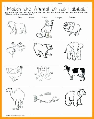 Animal and their Habitats Worksheets Animal Habitat Worksheet Worksheets for First Grade S