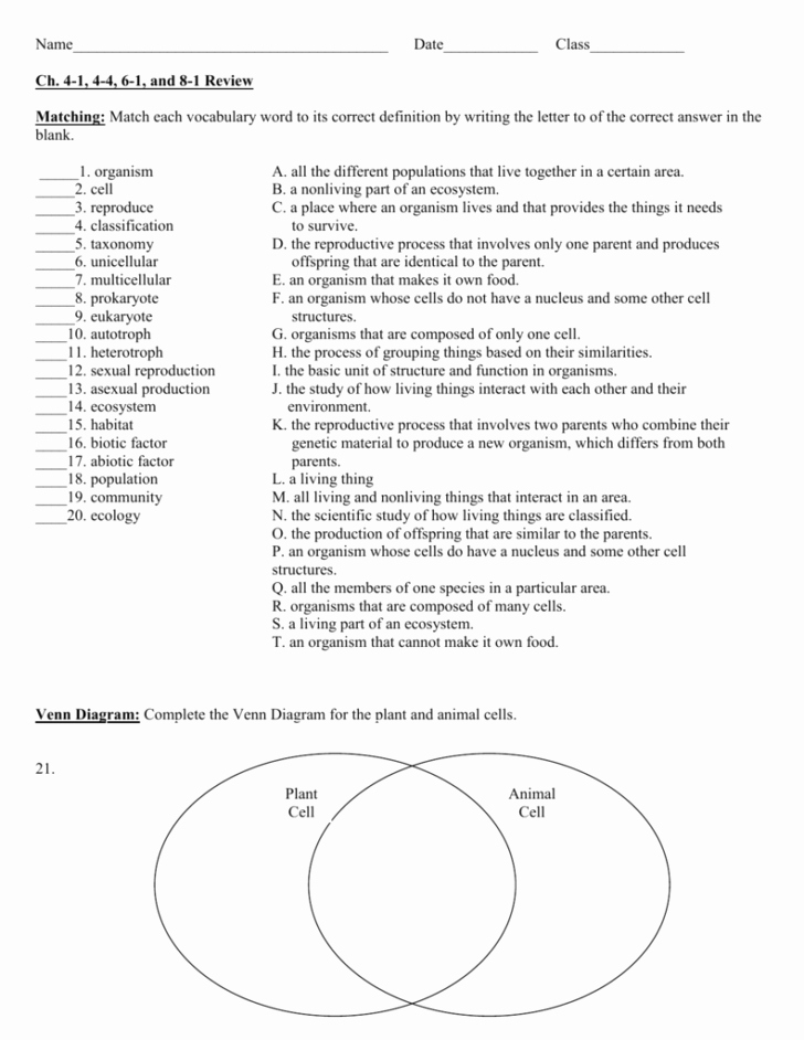 Animal Cell Blank Worksheet Wiring Diagram Plant and Animal Cell Diagram to Label Venn