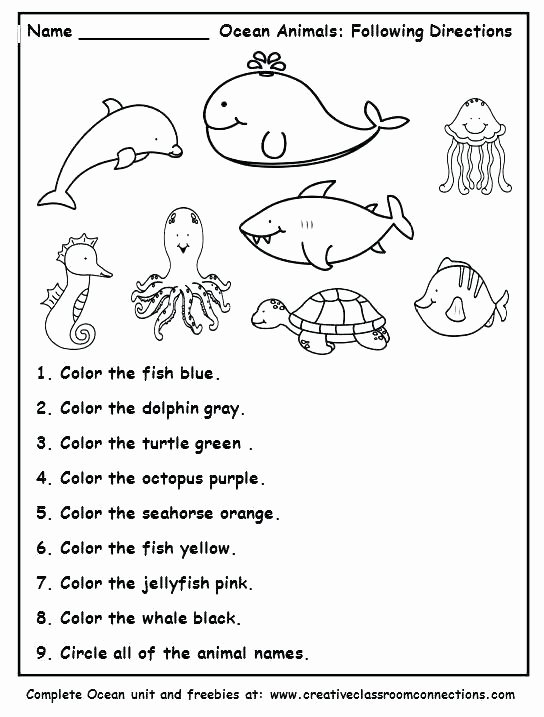 Animal Habitat Worksheets for Kindergarten Animal Habitat Worksheets for Kindergarten Habitats Have Fun