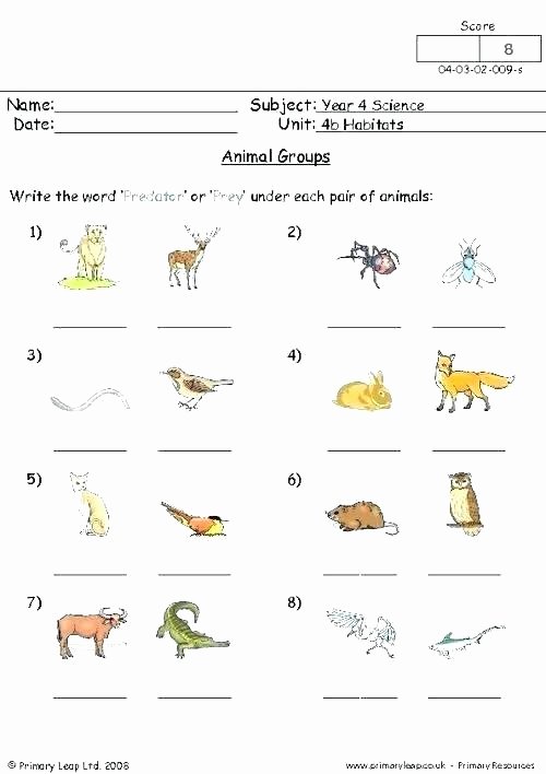 Animal Habitat Worksheets for Kindergarten Animals Habitats Worksheets Animal What Worksheet and their