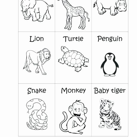 Animal Habitat Worksheets for Kindergarten French Revolution Zoo themed Worksheets Kindergarten Animal