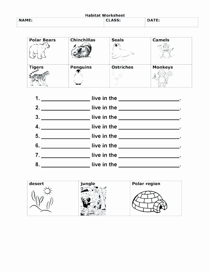 Animal Habitat Worksheets for Kindergarten Grade 2 Science Worksheets Animals Grade 1 Science Lesson 3