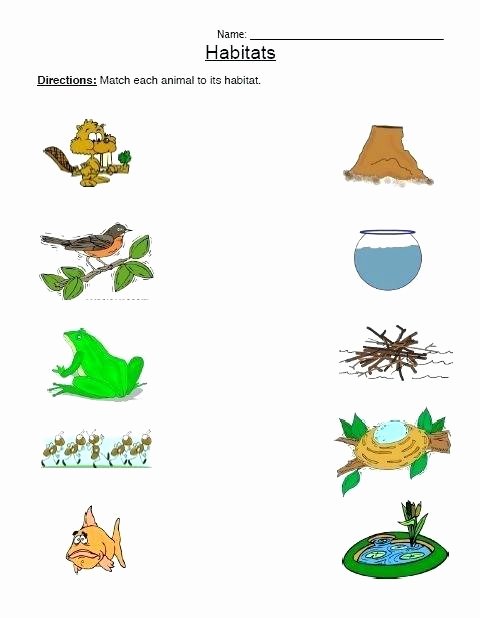 Animal Habitat Worksheets for Kindergarten Printable Desert Habitat Free Worksheets for Preschool and