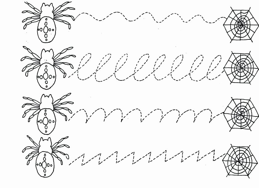 Animal Homes Worksheet Spider Math Worksheets