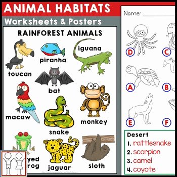 Animals and their Habitats Worksheet Habitat Worksheet