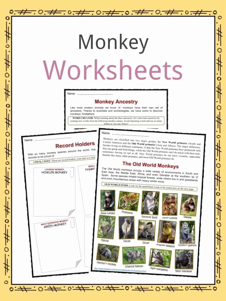 Animals and their Habitats Worksheet Monkey Facts Worksheets Species &amp; Habitat Information for Kids