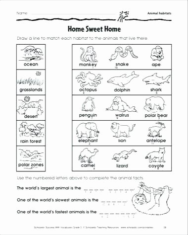 Animals and their Habitats Worksheets 2 Environmental Science Insects Worksheet Class Ii Child