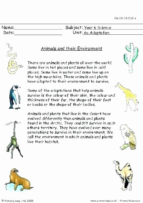 Animals and their Habitats Worksheets Animals In their Habitats Worksheets