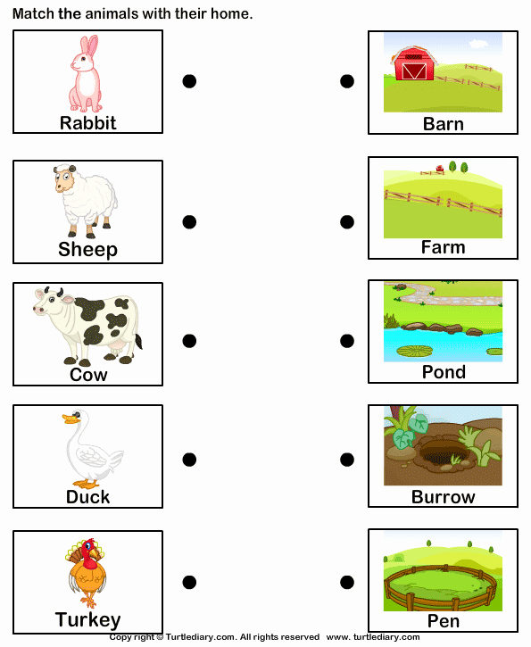 Animals and their Habitats Worksheets Farm Animal Homes Match Farm Animals to their Homes
