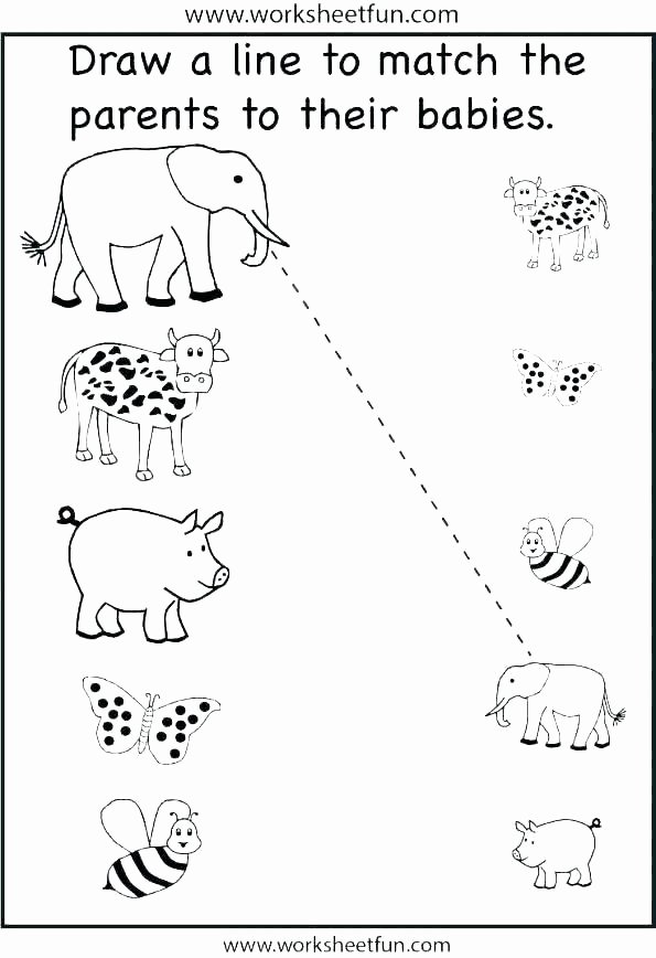 Animals and their Habitats Worksheets Grade 2 Science Worksheets Animals Class 4 Science