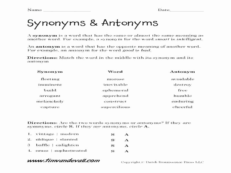 Antonyms Worksheets 3rd Grade Antonyms Worksheets 4th Grade