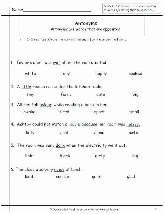 Antonyms Worksheets 3rd Grade Free Homophone Worksheets Middle School Synonyms and