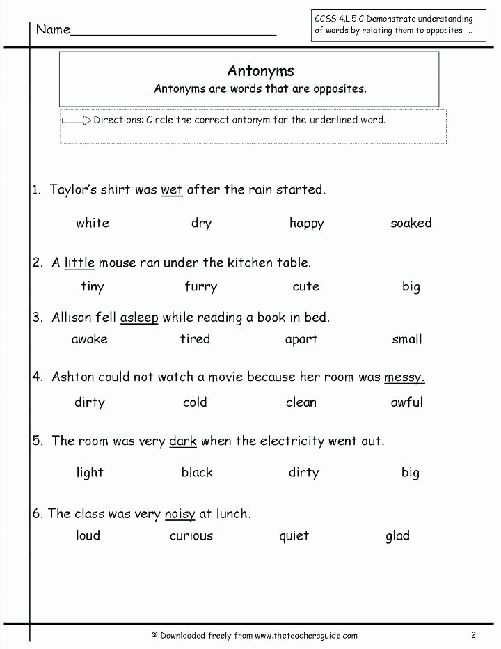 Antonyms Worksheets 3rd Grade Point Of View Worksheets 3rd Grade