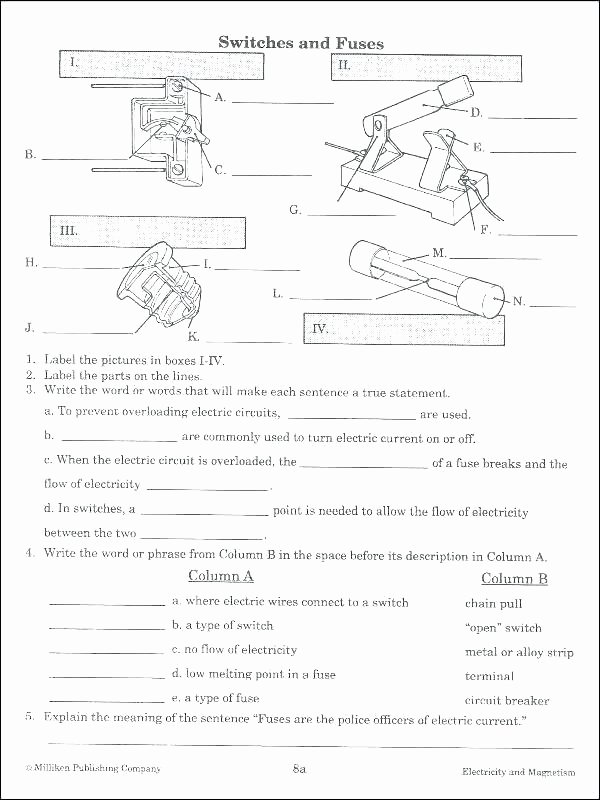 Antonyms Worksheets for Kindergarten Gravity Worksheets for Kindergarten