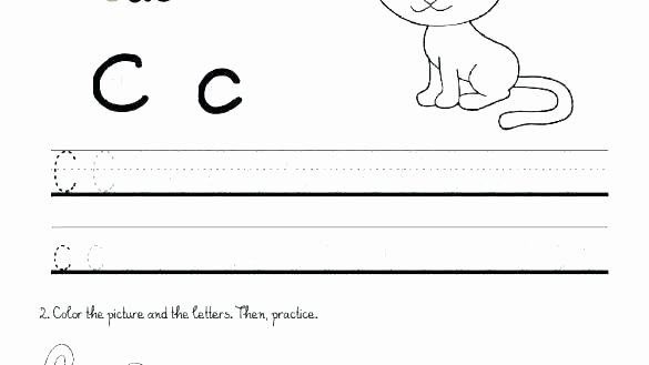 Arabic Alphabet Worksheets for Preschoolers Alphabets Worksheets for Preschoolers Letter N Preschool