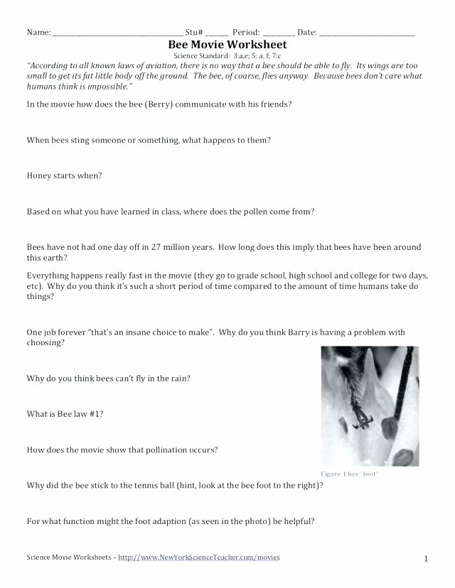 Bee Movie Worksheet Answers Bbc Planet Earth Worksheets – Homeofficelove