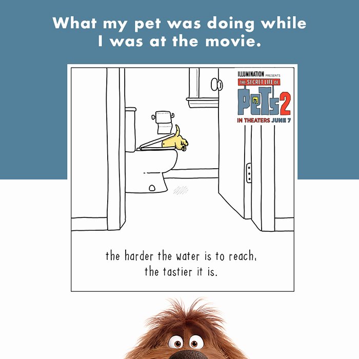Bee Movie Worksheet Answers the Secret Life Of Pets 2 Own It Digital now