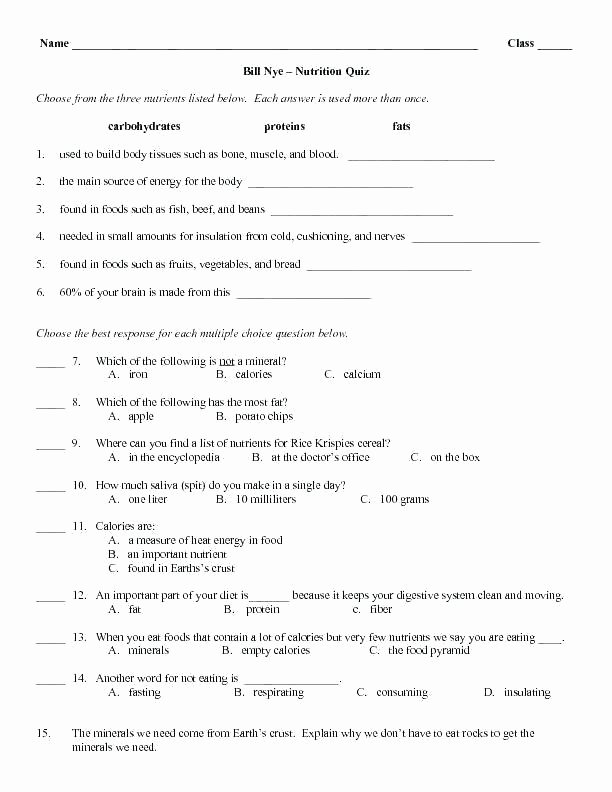 Blank Bone Worksheets Elegant Physical Science Motion and forces Worksheet Collection Free