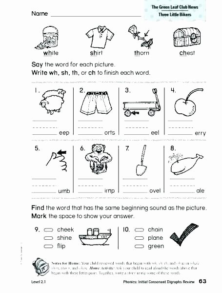 Blends Worksheet for First Grade Digraphs Worksheets for Grade 1 Consonant Blends and Pdf
