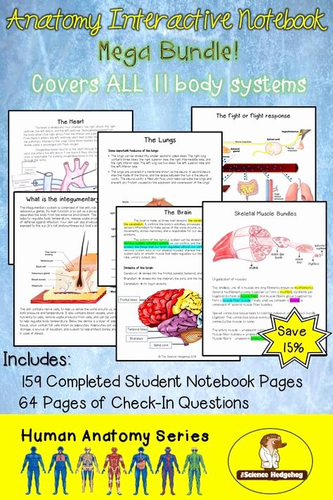 Body Systems Crossword List Of Huan Body Systems Anatomy Interactive Notebooks