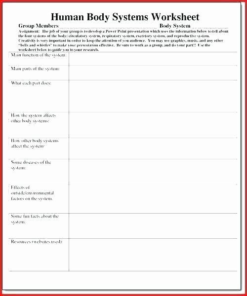 Body Systems Worksheet Answers Body Image Worksheets