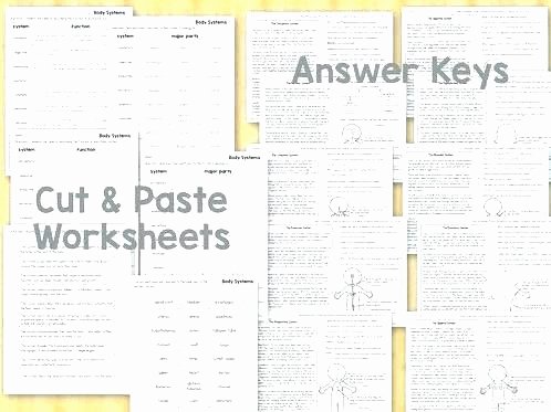 Body Systems Worksheet Answers Body Systems Worksheets Answers
