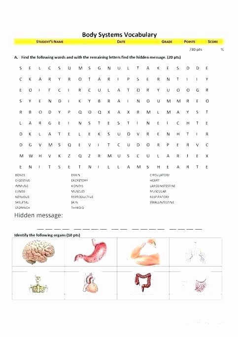 Body Systems Worksheet Answers Circulatory System Diagram Worksheet 2 Human Body Systems