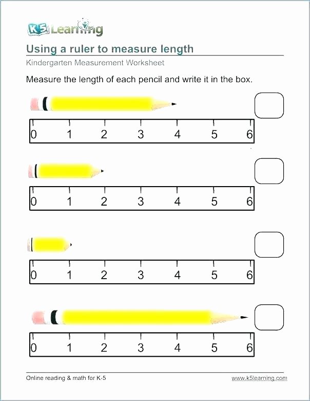 Capacity Worksheets 3rd Grade Metric Rulers Ruler Measurement Worksheets Cm Ruler