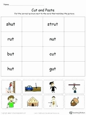 Categorizing Worksheets for 1st Grade Early Childhood sorting and Categorizing Worksheets Pes