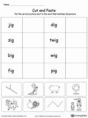 Categorizing Worksheets for Kindergarten Elegant Categorizing Worksheet First Grade Categorize Nouns