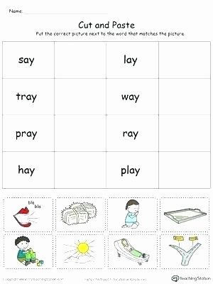 Categorizing Worksheets for Kindergarten Unique Categorizing Worksheets for Kindergarten