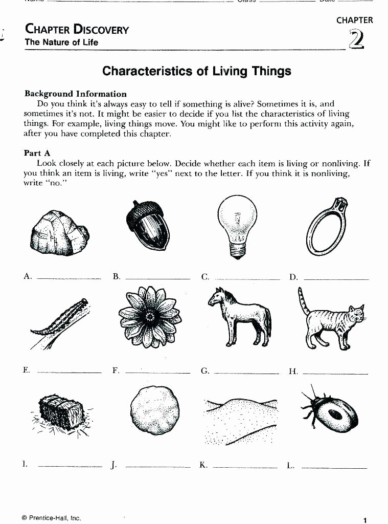 Categorizing Worksheets for Kindergarten Unique Nature Worksheets for Preschoolers