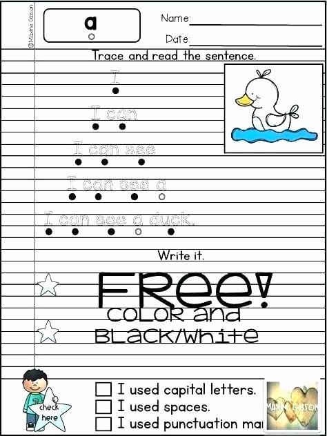 Christmas Fluency Passages Sight Word Fluency Worksheet Template Yellow Sheets