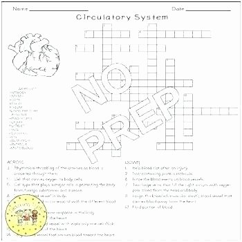 Ck Worksheets for 2nd Grade Awesome Free Circulatory System Worksheets Free Circulatory System