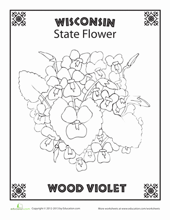 Coloring Worksheets for 3rd Grade Wisconsin State Flower