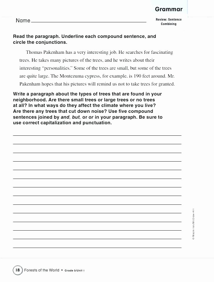 Commas Worksheets 5th Grade Verb Worksheets Grade Free Grammar Worksheets for Grade 5