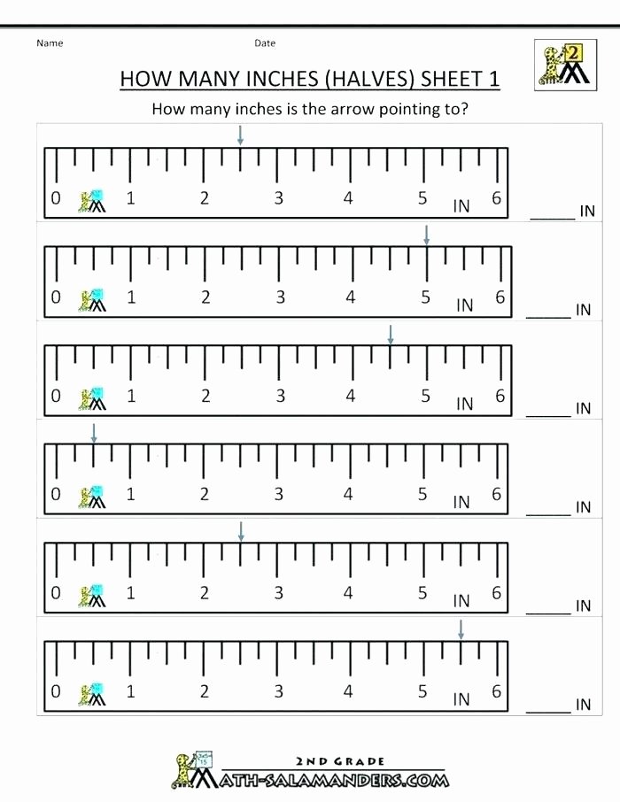 Common Core Measurement Worksheets Teaching Measurement Worksheets