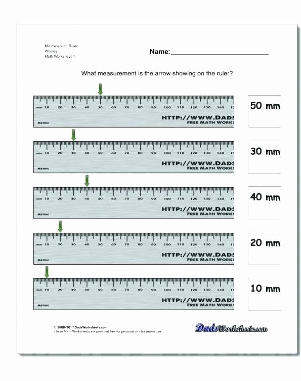 Common Core Measurement Worksheets Teaching Measurement Worksheets