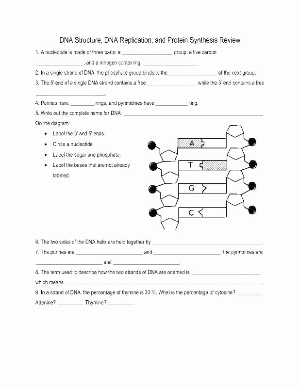 Compass Rose Worksheets Middle School Map Practice Worksheets