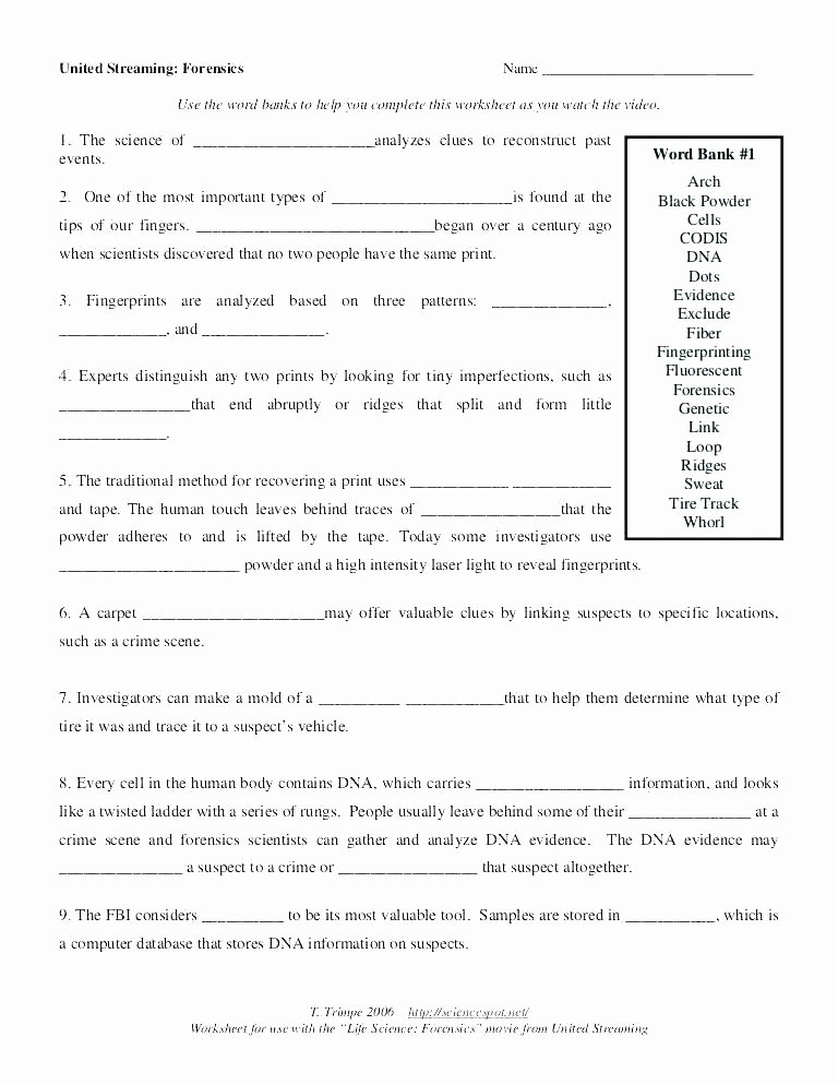 Computer Worksheets for Middle School High School Crossword Puzzle Worksheets