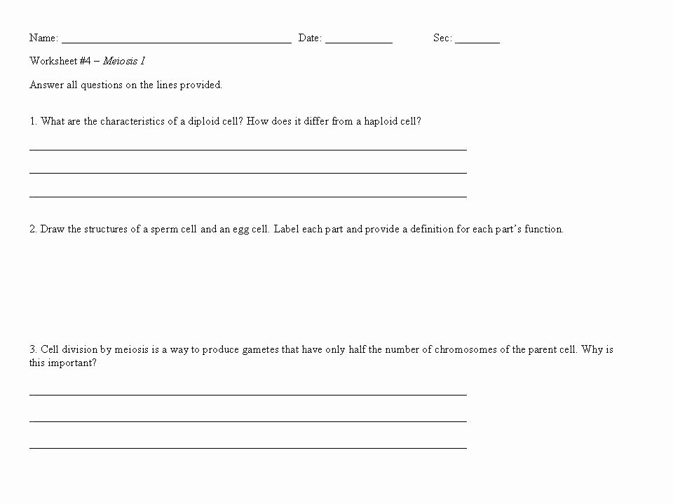 Conflict Practice Worksheets Preschool Worksheets About Bullying