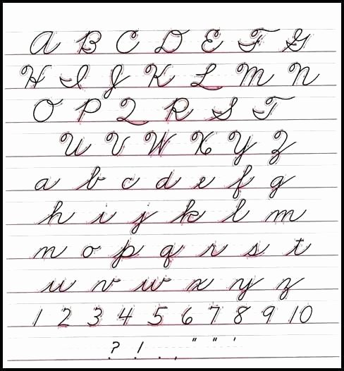 D Nealian Alphabet Worksheets Trace the X Words Worksheet Printable Worksheets Dnealian