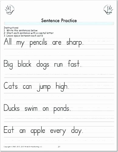 Daily Edits Worksheets Editing Practice Worksheets Copy Worksheet Works Sentences