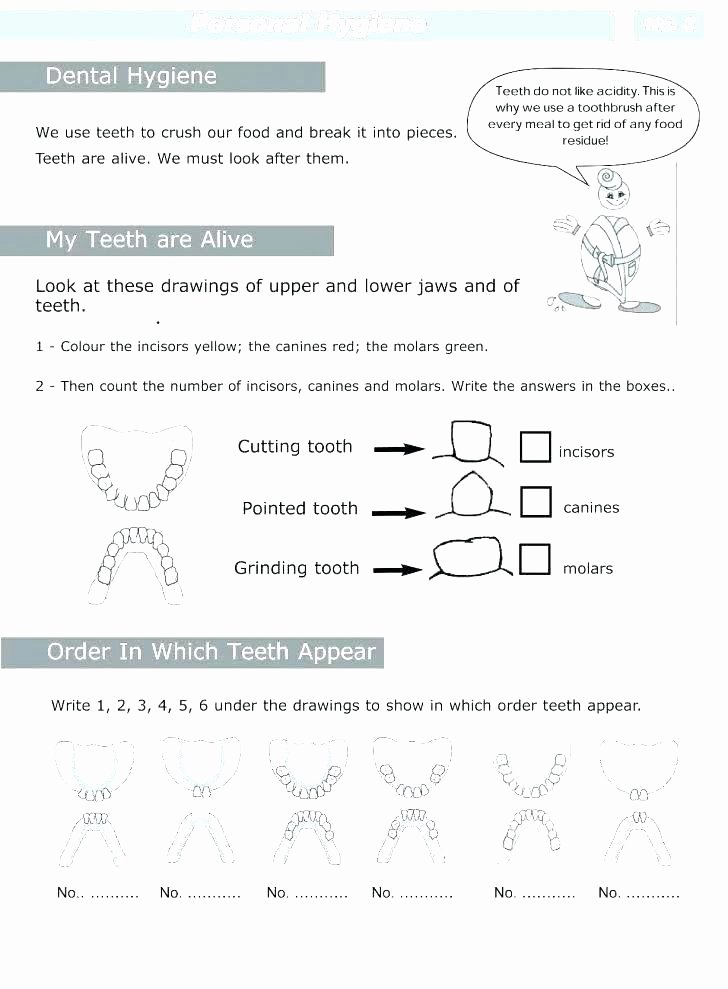Dentist Worksheets for Kindergarten Body Hygiene Worksheets