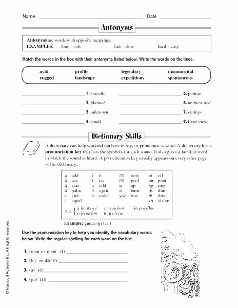Dictionary Skill Worksheets 3rd Grade Dictionary Skills Worksheets 3rd Grade Dictionary Worksheets
